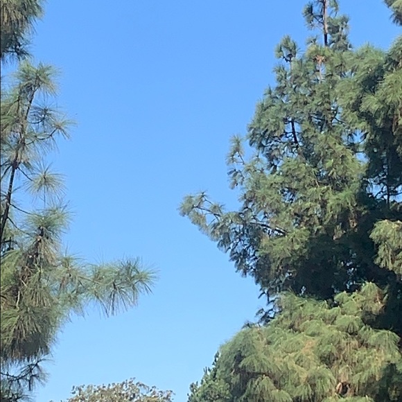 Meet your Posher, Steven - Picture 1 of 1